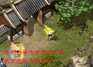 ��μ��㴫����Ϸ�б����������˺��ܺͣ�