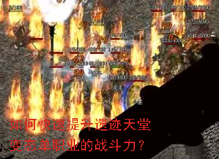��ο��������ż����ñ�̬��ְҵ��ս������