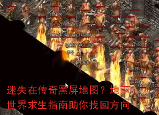 ��ʧ�ڴ��������ͼ��������������ָ�������һط���