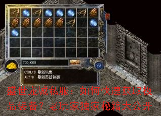 ʢ������˽������ο��ٻ�ȡ��Ʒװ��������Ҷ����ؼ��󹫿�