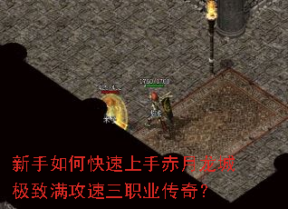 ������ο������ֳ������Ǽ�����������ְҵ���棿