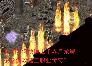 ������ο������ֳ������Ǽ�����������ְҵ���棿