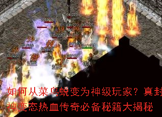 ��δӲ����ɱ�Ϊ����ң�������̬��Ѫ����ر��ؼ������