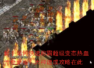 ������ο��ٳưԳ�����̬��Ѫ�����·��������ٳɹ����ڴ�