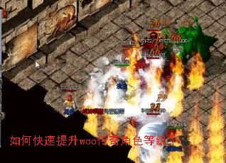 如何快速提升woo传奇角色等级? 如何快速提升woo传奇角色等级?