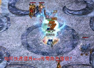 如何快速提升woo传奇角色等级? 如何快速提升woo传奇角色等级?