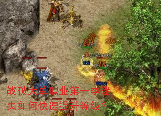 ս���쵥ְҵ��һ����ʧ��ο��������ȼ���
