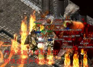 ����ҵ���ŵ�ְҵ��ο��������ȼ���