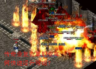 ����ҵ���ŵ�ְҵ��ο��������ȼ���