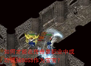 如何才能在传奇单职业中成功抓捕BOSS作为宝宝? 如何才能在传奇单职业中成功抓捕BOSS作为宝宝?
