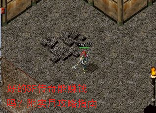 �õ�SF������׬Ǯ�𣿸�ʵ�ù���ָ��