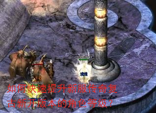 如何快速提升新服传奇复古新开版本的角色等级? 如何快速提升新服传奇复古新开版本的角色等级?