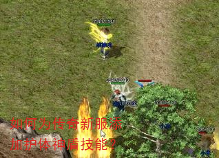 如何为传奇新服添加护体神盾技能? 如何为传奇新服添加护体神盾技能?