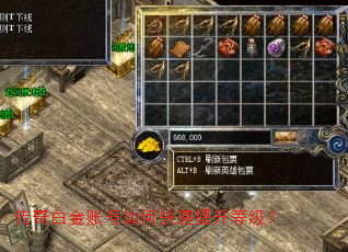 传奇白金账号如何快速提升等级? 传奇白金账号如何快速提升等级?