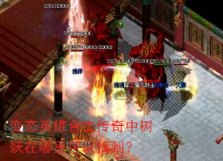 变态英雄合击传奇中树妖在哪里可以找到? 变态英雄合击传奇中树妖在哪里可以找到?