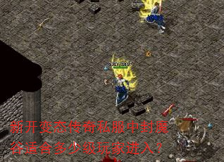 �¿���̬����˽���з�ħ���ʺ϶��ټ���ҽ��룿