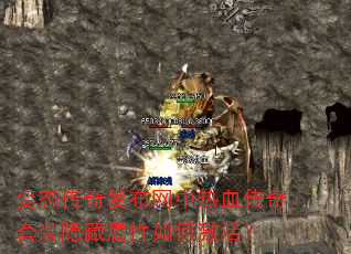 ��̬���淢��������Ѫ������װ����������μ��