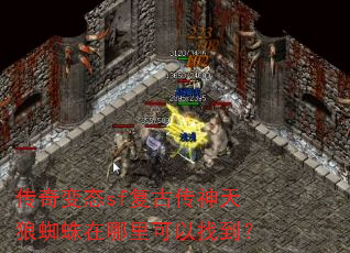 �����̬sf���Ŵ�������֩������������ҵ���