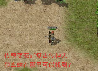 �����̬sf���Ŵ�������֩������������ҵ���