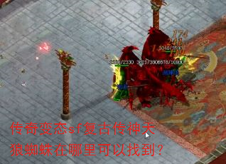 �����̬sf���Ŵ�������֩������������ҵ���