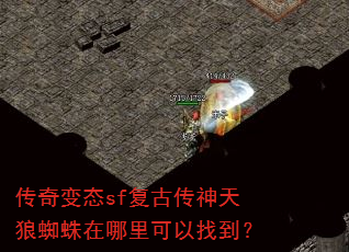�����̬sf���Ŵ�������֩������������ҵ���