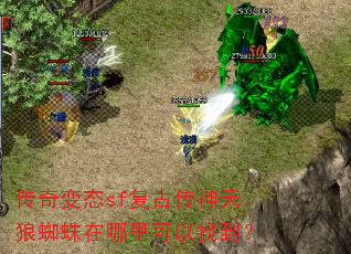 �����̬sf���Ŵ�������֩������������ҵ���