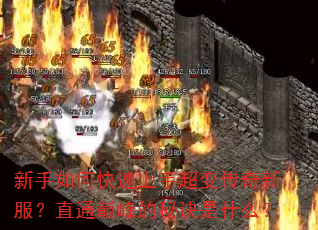 ������ο������ֳ��䴫���·���ֱͨ�۷���ؾ���ʲô��