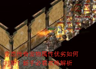 ��̬�������������������жϣ����ֱؿ����Խ���