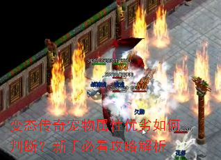 ��̬�������������������жϣ����ֱؿ����Խ���