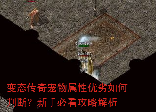 ��̬�������������������жϣ����ֱؿ����Խ���