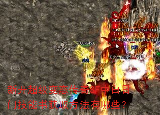 �¿�������̬����SF�а����ż������ȡ��������Щ��
