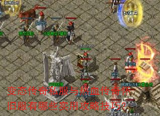 ��̬����˽������Ѫ���滳�ɷ�����Щʵ�ù��Լ��ɣ�