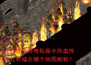 变态连击传奇私服中热血传奇红野猪在哪个地图刷新? 变态连击传奇私服中热血传奇红野猪在哪个地图刷新?