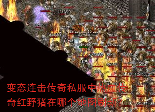 变态连击传奇私服中热血传奇红野猪在哪个地图刷新? 变态连击传奇私服中热血传奇红野猪在哪个地图刷新?