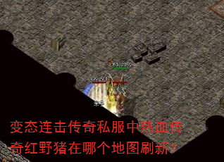 变态连击传奇私服中热血传奇红野猪在哪个地图刷新? 变态连击传奇私服中热血传奇红野猪在哪个地图刷新?
