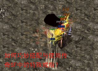 ������������ʹ�ô���SF�е������ָ��