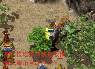 如何快速提升攻速版传奇私服角色战斗力? 如何快速提升攻速版传奇私服角色战斗力?