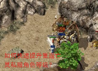如何快速提升重返亡灵私服角色等级? 如何快速提升重返亡灵私服角色等级?