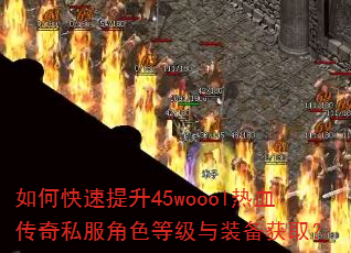��ο�������45woool��Ѫ����˽����ɫ�ȼ���װ����ȡ��