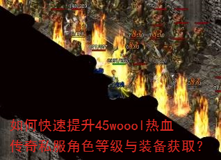 ��ο�������45woool��Ѫ����˽����ɫ�ȼ���װ����ȡ��