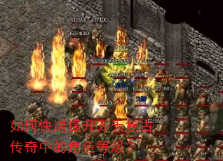 ��ο����������츴�Ŵ����еĽ�ɫ�ȼ���