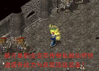新开单职业变态传奇私服如何快速提升战力与获取顶级装备? 新开单职业变态传奇私服如何快速提升战力与获取顶级装备?