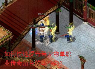 如何快速提升带宠物单职业传奇角色的战斗力? 如何快速提升带宠物单职业传奇角色的战斗力?