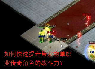 如何快速提升带宠物单职业传奇角色的战斗力? 如何快速提升带宠物单职业传奇角色的战斗力?