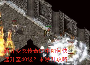 新开变态传奇SF中如何快速升至40级?求秒升攻略 新开变态传奇SF中如何快速升至40级?求秒升攻略