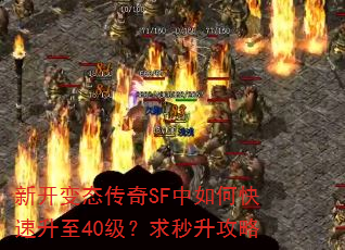 新开变态传奇SF中如何快速升至40级?求秒升攻略 新开变态传奇SF中如何快速升至40级?求秒升攻略