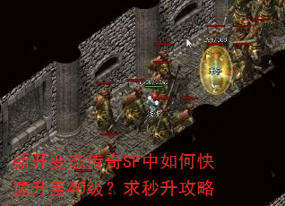 新开变态传奇SF中如何快速升至40级?求秒升攻略 新开变态传奇SF中如何快速升至40级?求秒升攻略