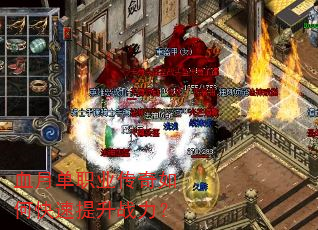 Ѫ�µ�ְҵ������ο�������ս����