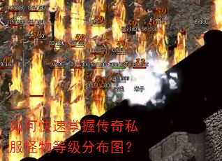 如何快速掌握传奇私服怪物等级分布图? 如何快速掌握传奇私服怪物等级分布图?