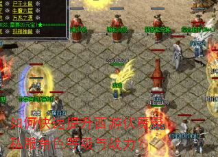 如何快速提升西游伏魔录私服角色等级与战力? 如何快速提升西游伏魔录私服角色等级与战力?